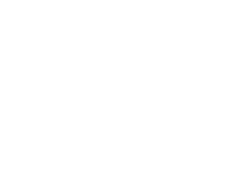 C Mendes